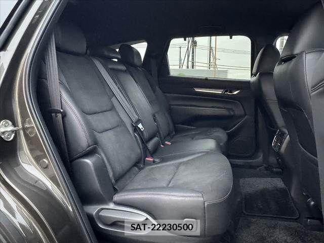 Mazda CX-8 2021-04 7876030-19