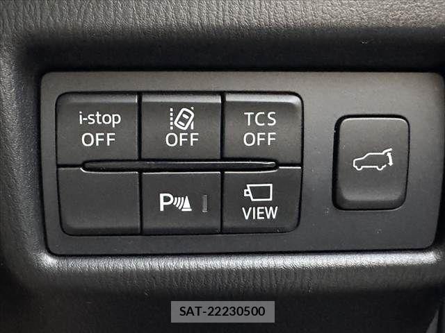 Mazda CX-8 2021-04 7876030-5