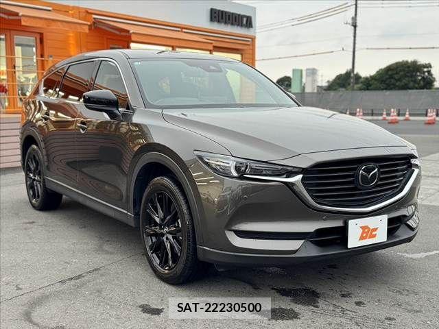 Mazda CX-8 2021-04 7876030-7