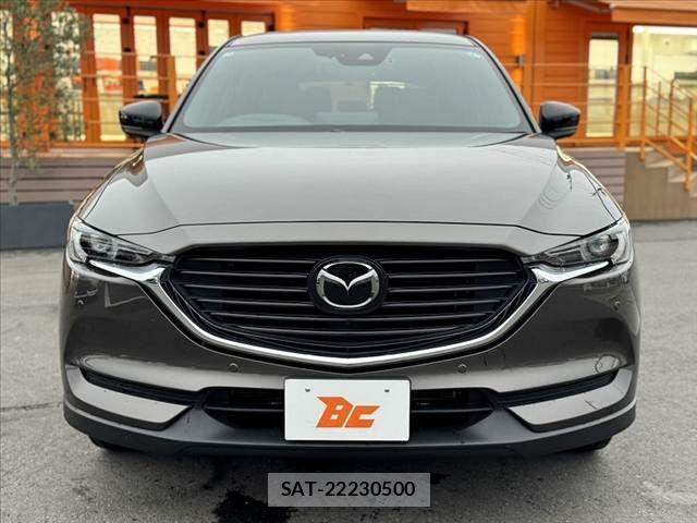 Mazda CX-8 2021-04 7876030-8