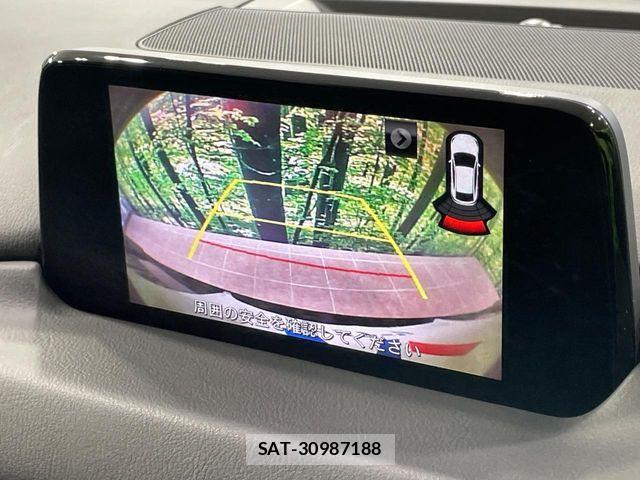 Mazda CX-8 2018-03 7876033-6