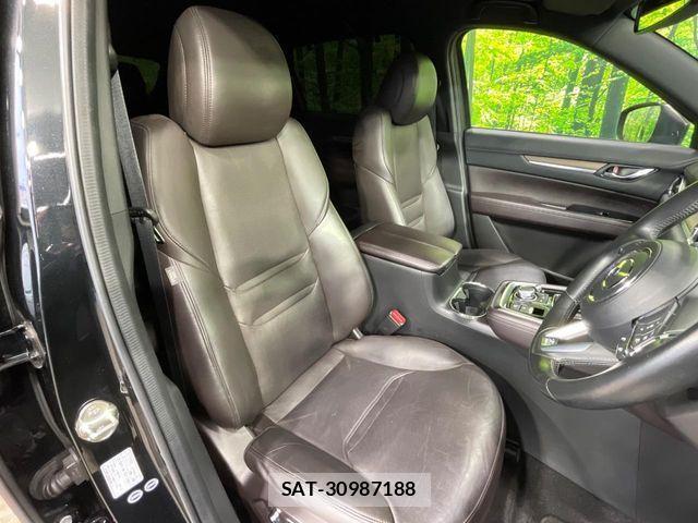 Mazda CX-8 2018-03 7876033-7