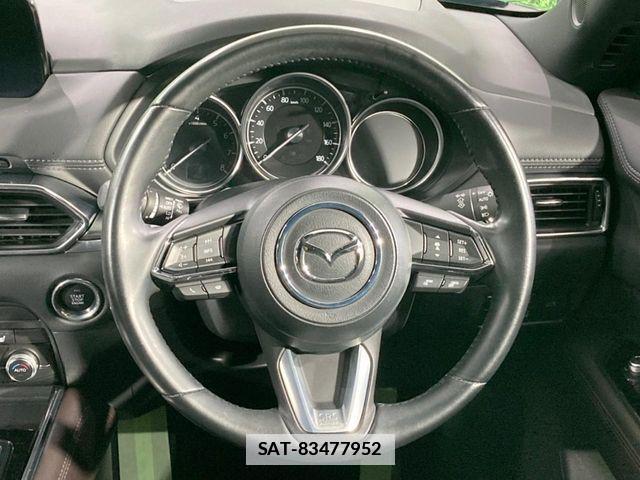 Mazda CX-8 2019-10 7876031-11