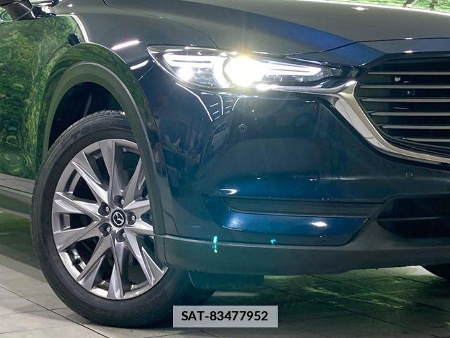 Mazda CX-8 2019-10 7876031-12