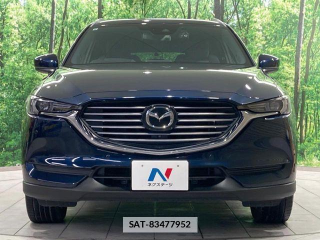 Mazda CX-8 2019-10 7876031-14
