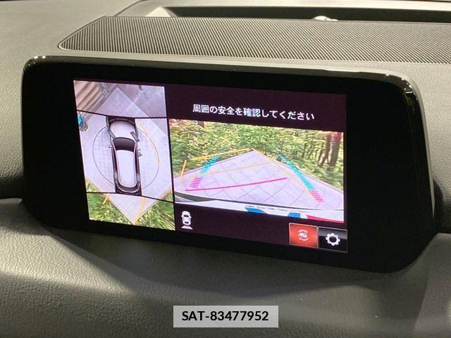 Mazda CX-8 2019-10 7876031-3