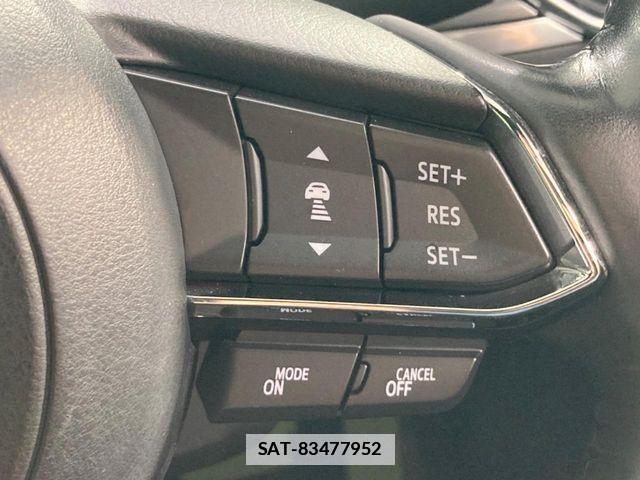 Mazda CX-8 2019-10 7876031-4