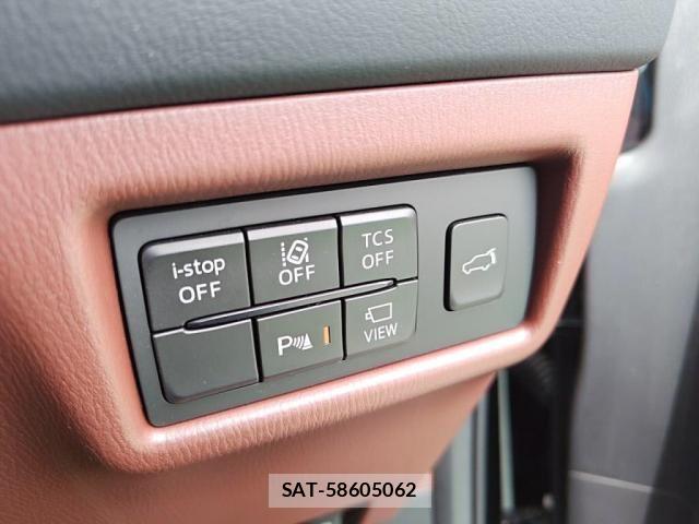 Mazda CX-8 2021-03 7876027-16