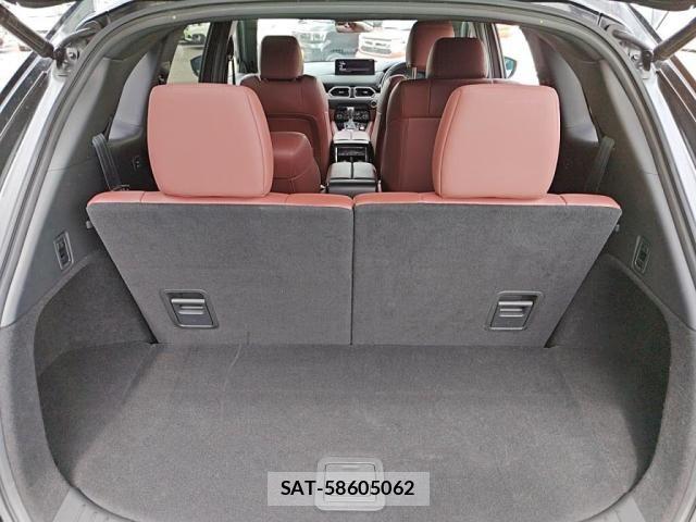 Mazda CX-8 2021-03 7876027-24