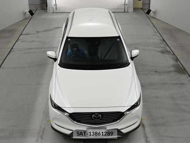 Mazda CX-8 2019-02 7891115-7