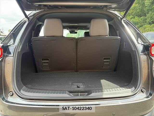 Mazda CX-8 2020-07 7961126-12