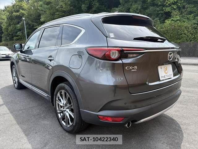 Mazda CX-8 2020-07 7961126-22