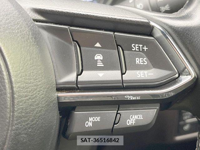 Mazda CX-8 2018-07 7961132-5