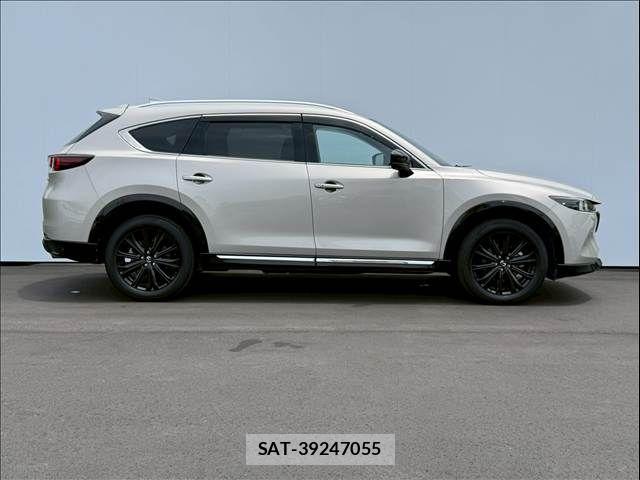 Mazda CX-8 2023-12 8073490-8