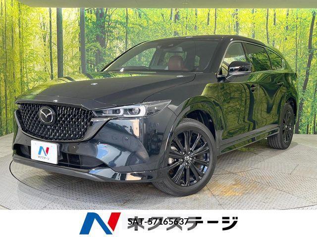 Mazda CX-8 2023-12 8098784-0