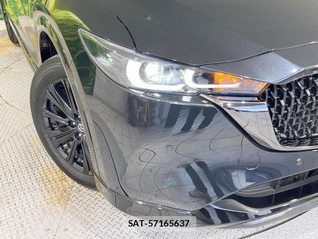 Mazda CX-8 2023-12 8098784-12