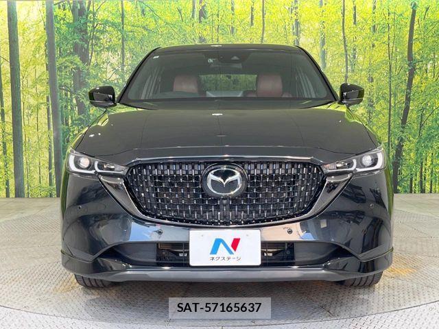 Mazda CX-8 2023-12 8098784-14