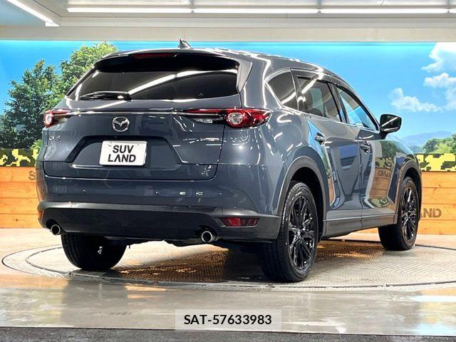 Mazda CX-8 2022-02 8098786-16