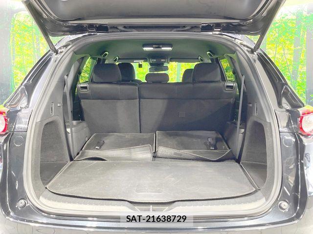 Mazda CX-8 2019-09 8098789-10