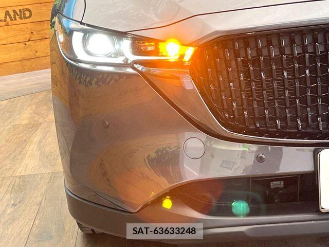 Mazda CX-8 2023-04 8098783-12