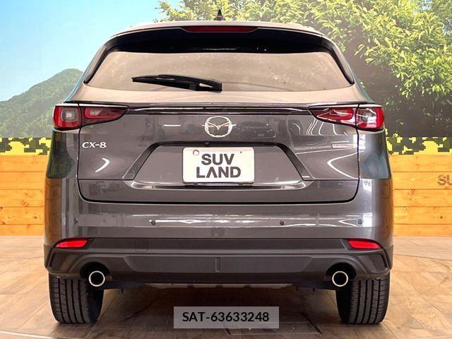 Mazda CX-8 2023-04 8098783-15