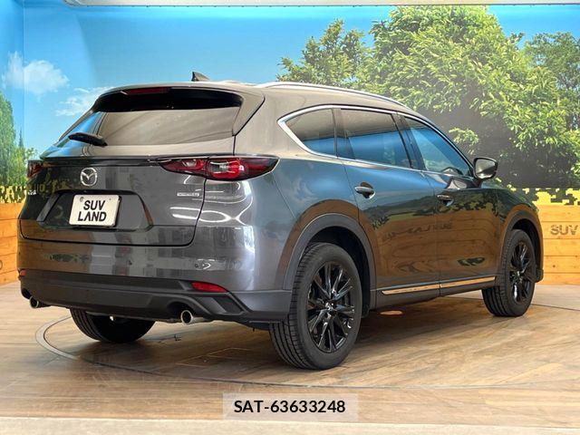 Mazda CX-8 2023-04 8098783-16