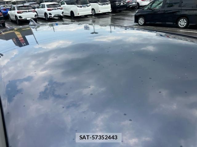 Mazda CX-8 2019-09 8098792-10