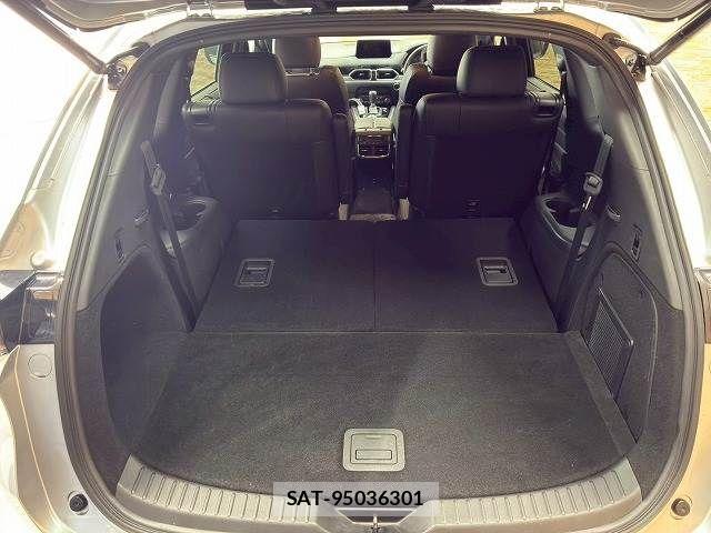 Mazda CX-8 2020-05 8145674-12