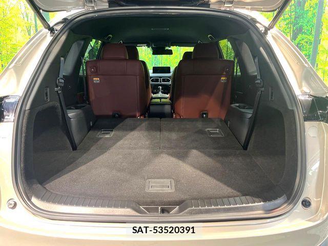 Mazda CX-8 2021-05 8145671-10