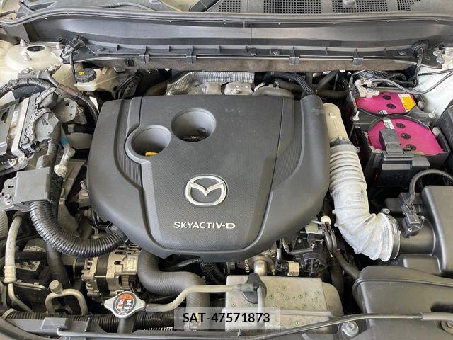 Mazda CX-8 2020-02 8145673-18