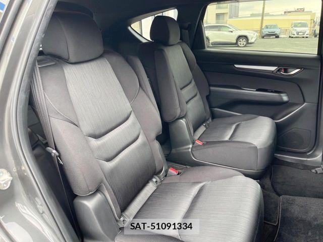 Mazda CX-8 2020-10 8145677-12