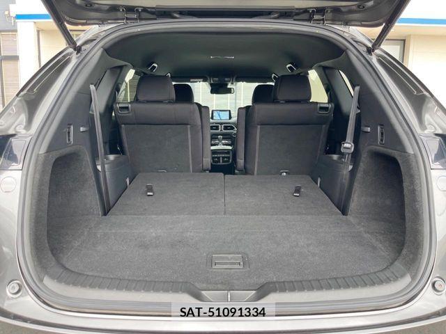 Mazda CX-8 2020-10 8145677-14