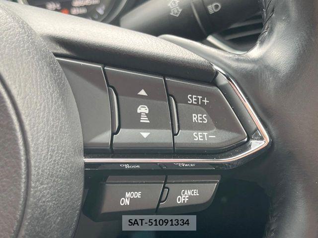 Mazda CX-8 2020-10 8145677-7