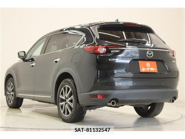 Mazda CX-8 2018-05 8207201-10