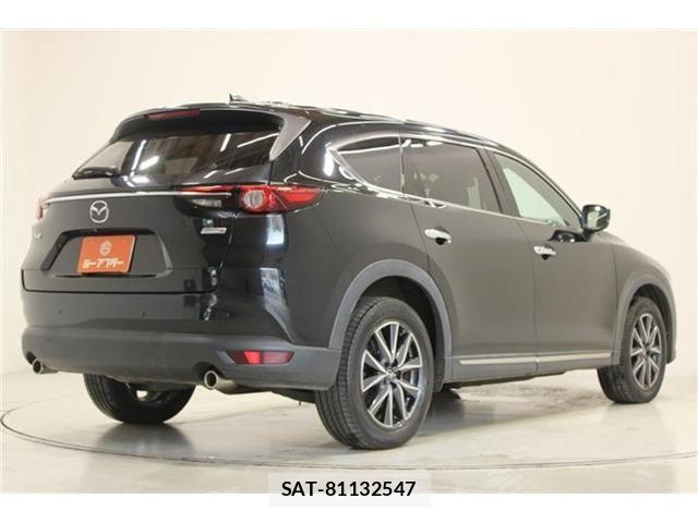 Mazda CX-8 2018-05 8207201-12