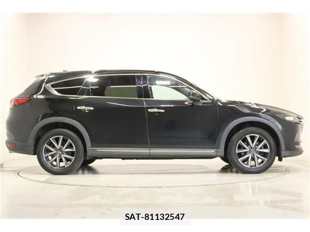 Mazda CX-8 2018-05 8207201-13