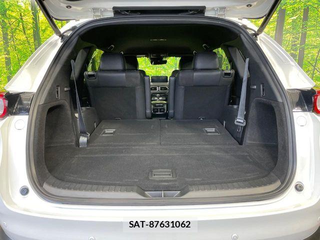 Mazda CX-8 2021-03 8229500-10