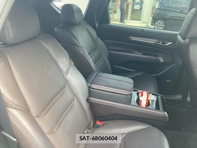 Mazda CX-8 2019-03 8229507-12