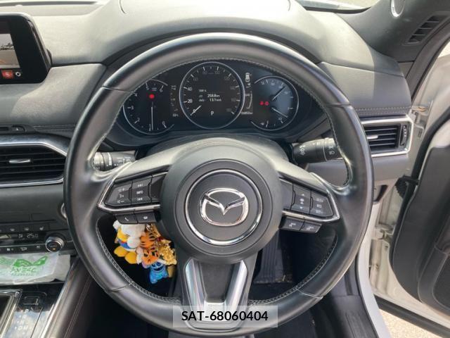 Mazda CX-8 2019-03 8229507-14