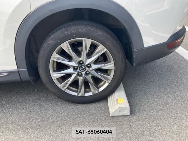 Mazda CX-8 2019-03 8229507-5