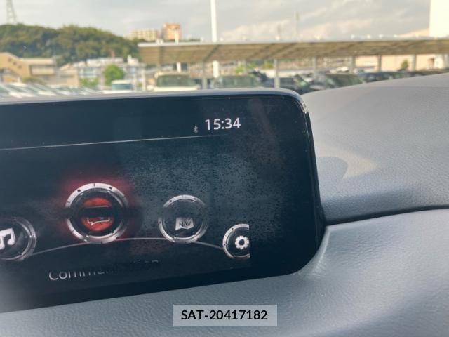 Mazda CX-8 2019-01 8229508-24