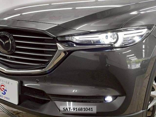Mazda CX-8 2018-05 8245006-12