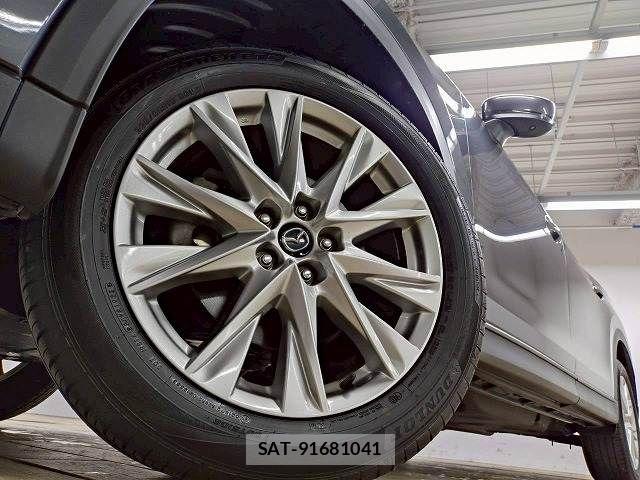 Mazda CX-8 2018-05 8245006-13