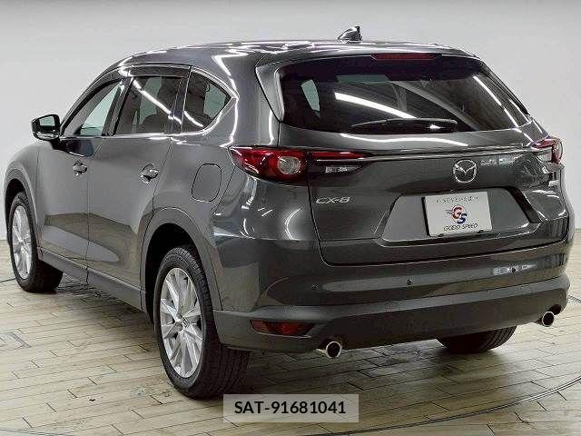 Mazda CX-8 2018-05 8245006-18