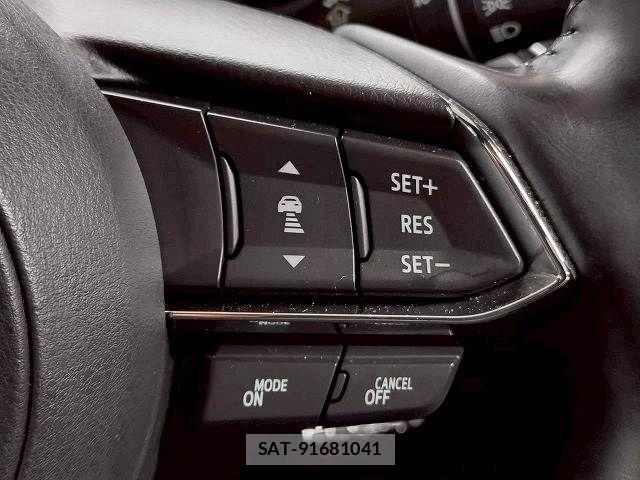 Mazda CX-8 2018-05 8245006-7