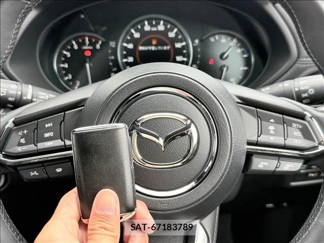 Mazda CX-8 2021-12 8245004-17