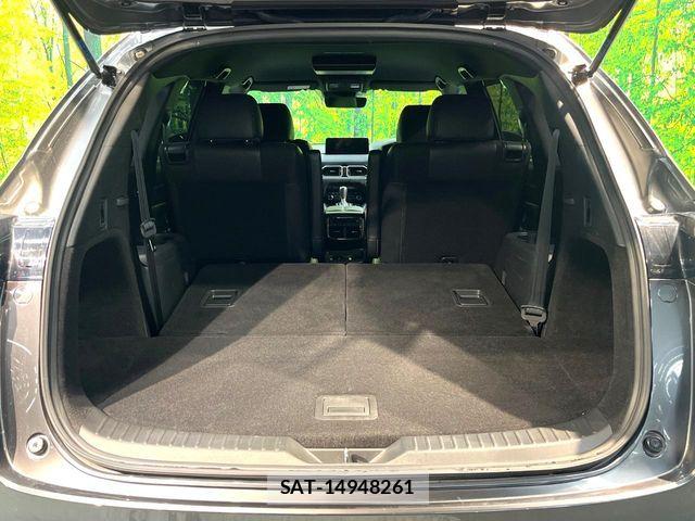 Mazda CX-8 2023-12 8314086-10