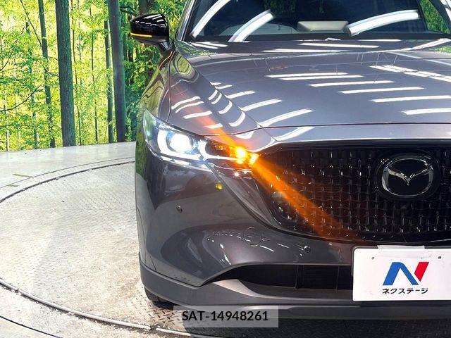 Mazda CX-8 2023-12 8314086-12