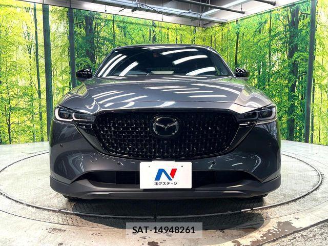 Mazda CX-8 2023-12 8314086-14