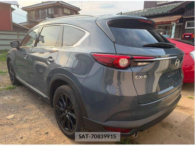 Mazda CX-8 2021-04 8314092-9